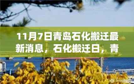 青岛石化搬迁最新动态,启程新旅程,探寻自然美景的内心平静之旅