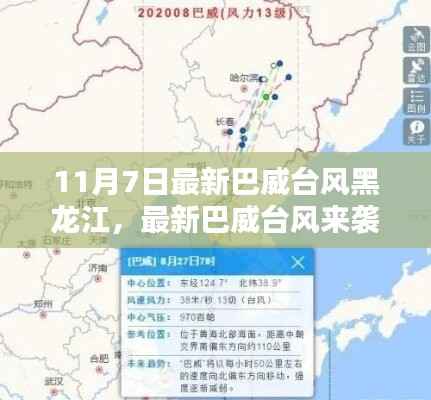 黑龙江应对巴威台风来袭,行动指南与最新动态(附日期)