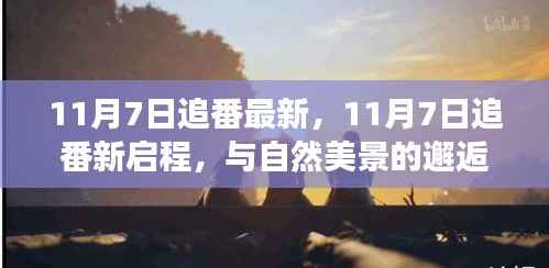 11月7日追番新启程,与自然美景的邂逅,探寻内心平和角落之旅