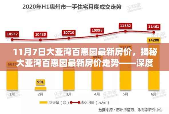 大亚湾百惠园最新房价走势深度解析,数据、趋势与未来展望(11月最新更新)