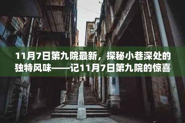 探秘第九院,小巷深处的独特风味揭秘之惊喜之旅(11月7日最新报道)
