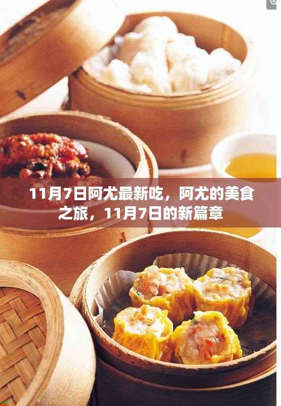 阿尤的美食之旅,新篇章开启,11月7日的味蕾盛宴