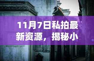 11月7日私拍最新资源,揭秘小巷深处的独特风味——探寻私拍最新资源的神秘角落
