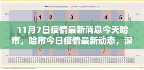 哈尔滨疫情最新动态,今日分析与个人观点分享(11月7日更新)