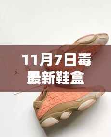 揭秘,11月7日毒最新鞋盒——潮流时尚中的独特风采
