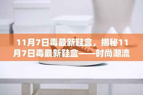 揭秘,11月7日毒最新鞋盒——潮流时尚中的独特风采
