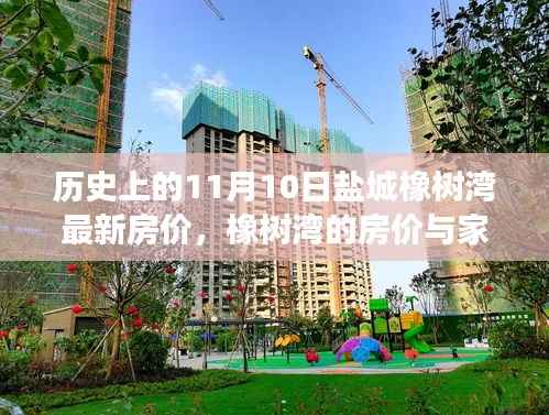 盐城橡树湾房价揭秘,历史变迁与家的温暖——友情与陪伴的日常故事