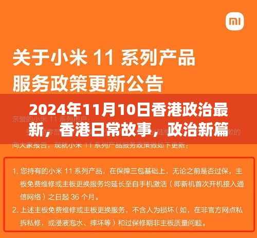 香港政治新篇下的温馨时光,日常故事与最新动态(2024年11月)