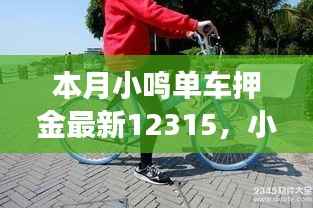 小鸣单车押金背后的暖心故事,最新更新与奇妙之旅