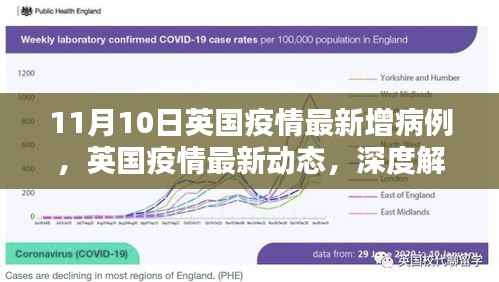 英国疫情最新动态深度解析,11月10日新增病例报告出炉
