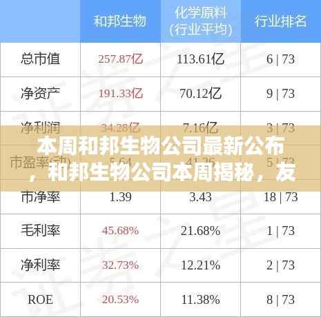 和邦生物公司揭秘,友情、日常与爱的温馨编织时刻本周揭晓