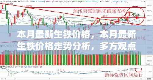 本月生铁价格走势深度解析,多方观点碰撞与个人立场探讨