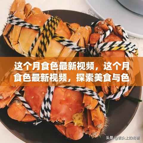 美食与色彩的浪漫邂逅,本月食色最新视频探索之旅