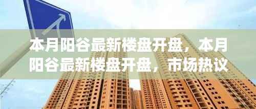 本月阳谷最新楼盘开盘,市场热议与个人观点解析