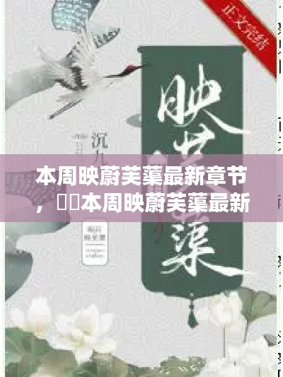 本周映蔚芙蕖最新章节,深度评测与详细介绍