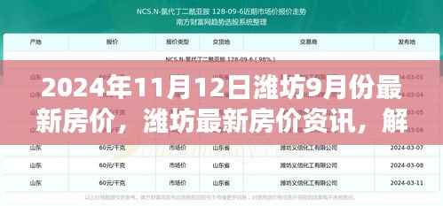 揭秘2024年11月潍坊最新房价动态，掌握最新资讯解锁新高度