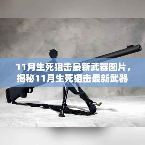 揭秘11月生死狙击最新武器,三大看点引领潮流,图片大放送!