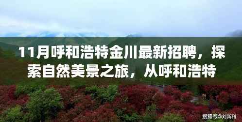 呼和浩特金川十一月招聘启航,自然美景之旅,寻找内心的宁静与平和之旅