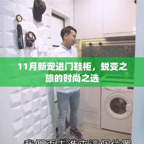 11月新宠进门鞋柜，蜕变之旅的时尚之选