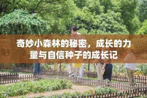 奇妙小森林的秘密，成长的力量与自信种子的成长记