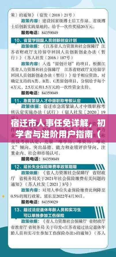 宿迁市人事任免详解,初学者与进阶用户指南(针对往年人事任免变化)