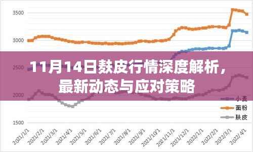 11月14日麸皮行情深度解析,最新动态与应对策略