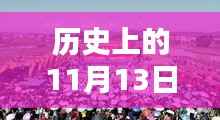 南充搬罾镇最新规划详解与评估,历史上的11月13日回顾与前瞻展望。