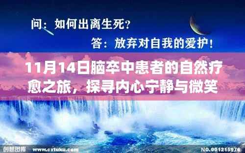 11月14日脑卒中患者的自然疗愈之旅,探寻内心宁静与微笑的力量