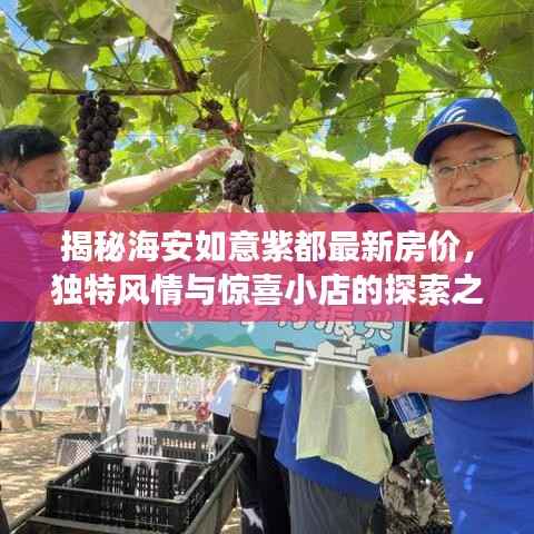 揭秘海安如意紫都最新房价,独特风情与惊喜小店的探索之旅