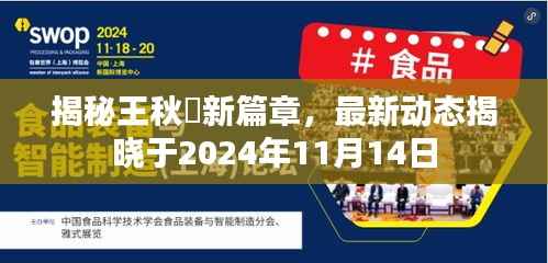 揭秘王秋彧新篇章,最新动态揭晓于2024年11月14日