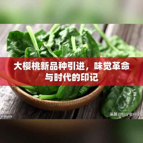大樱桃新品种引进,味觉革命与时代的印记