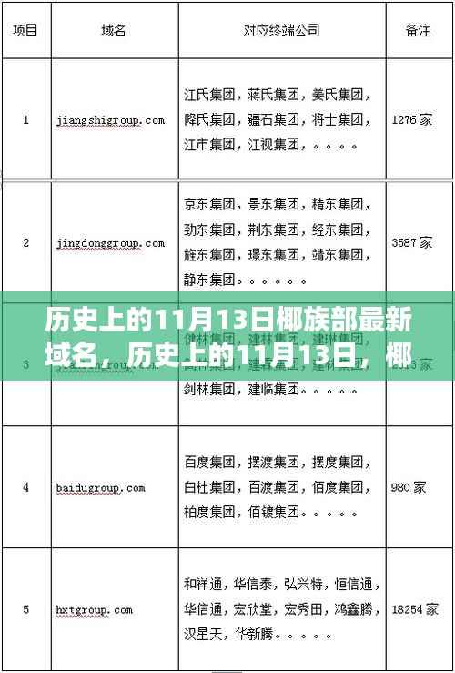 历史上的11月13日,椰族部新域名诞生背后的故事揭秘