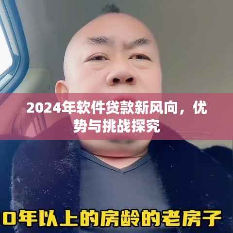 2024年软件贷款新风向,优势与挑战探究