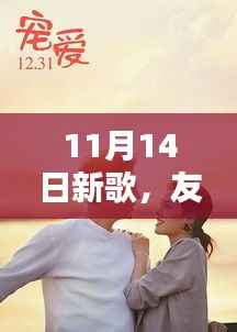 11月14日新歌,友情与爱的温馨旋律响起