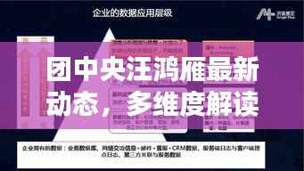 团中央汪鸿雁最新动态,多维度解读与深度剖析的启示(11月14日最新消息)
