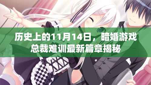 历史上的11月14日,暗婚游戏总裁难训最新篇章揭秘