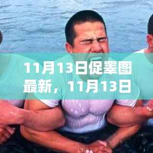 11月13日促睾图最新动态,观点阐述与深度解析