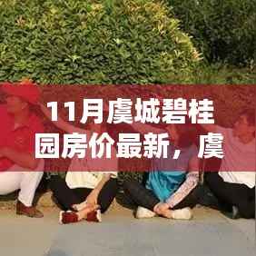 虞城碧桂园最新房价动态,全面评测与深度分析