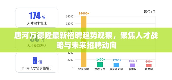 唐河万德隆最新招聘趋势观察,聚焦人才战略与未来招聘动向