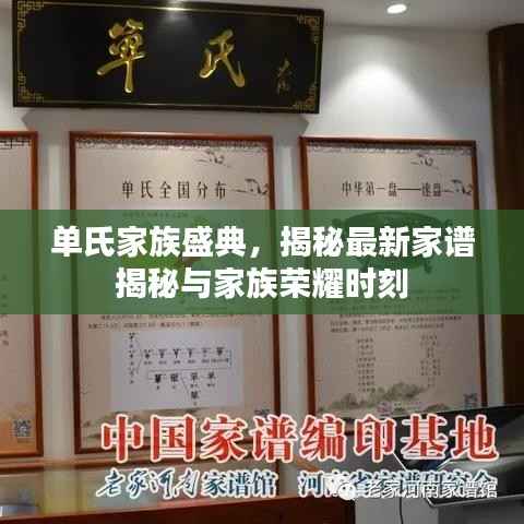 单氏家族盛典,揭秘最新家谱揭秘与家族荣耀时刻
