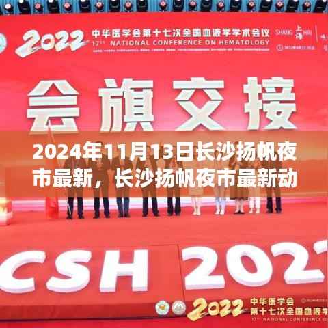 长沙扬帆夜市,繁华夜市的变迁与最新动态(2024年11月13日)