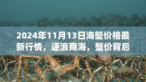 逐浪商海,揭秘蟹价背后的故事,与变化共舞——2024年11月13日海蟹价格最新行情
