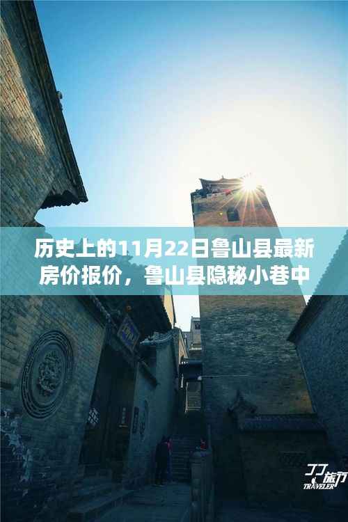 揭秘鲁山县房价历史变迁与隐秘小巷特色小店魅力,最新房价报价一网打尽