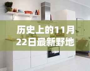 探秘最新野地厨房,历史美食奇遇日——11月22日的美食之旅