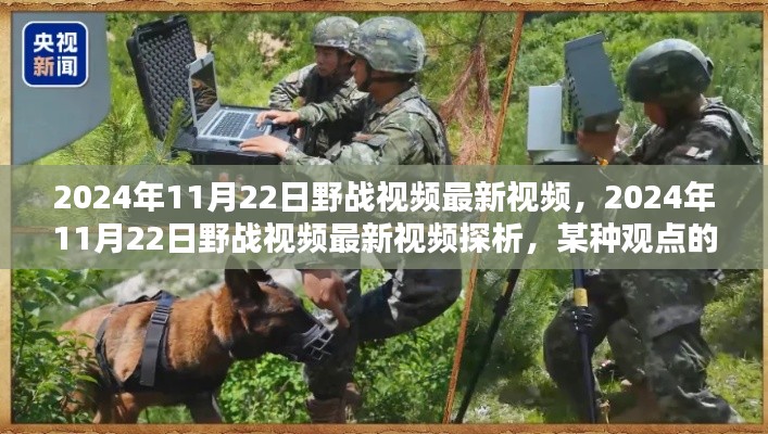 2024年11月22日野战视频最新视频,2024年11月22日野战视频最新视频探析,某种观点的阐述
