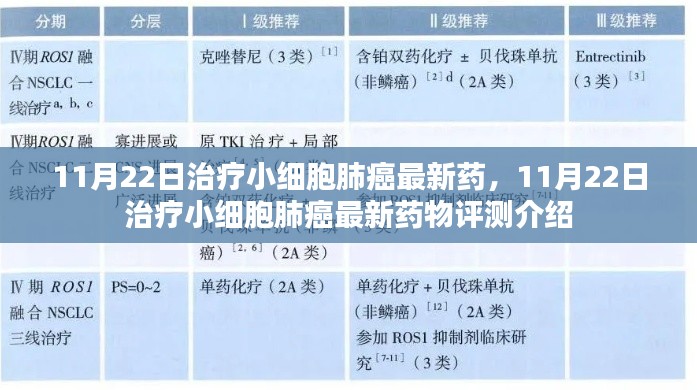 最新小细胞肺癌治疗药物评测介绍,11月22日新药速递