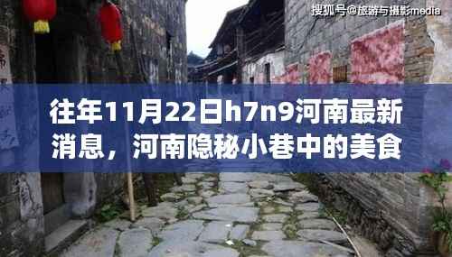 河南隐秘小巷美食秘境,探寻H7N9背后的故事与独特风味在往年11月22日揭秘之旅