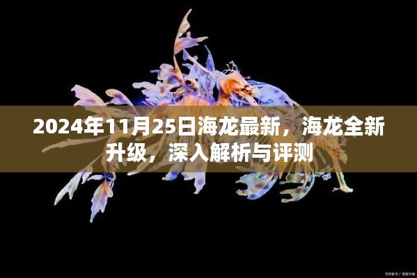 海龙全新升级解析与评测,深度探讨2024年11月25日的最新升级内容