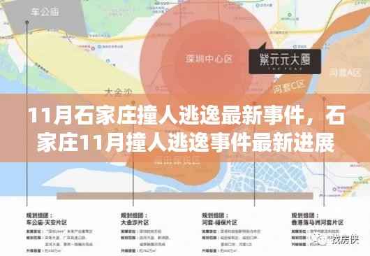 石家庄11月撞人逃逸事件最新进展揭秘,处理步骤与技能学习指南全解析