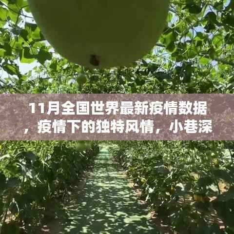 11月全球最新疫情数据,小巷特色小店中的疫情风情与全国实时动态分析